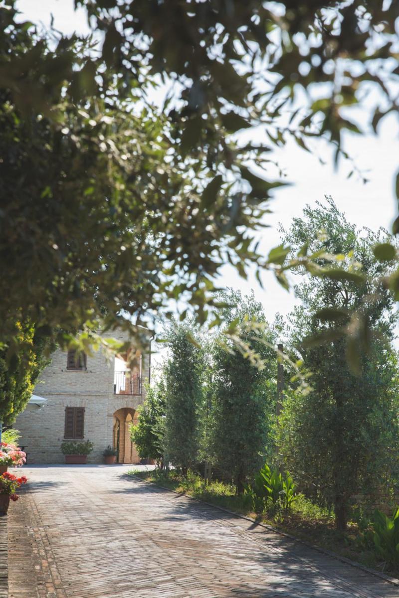 Bed And Breakfast Aratro & Rosmarino Civitanova Marche Zewnętrze zdjęcie